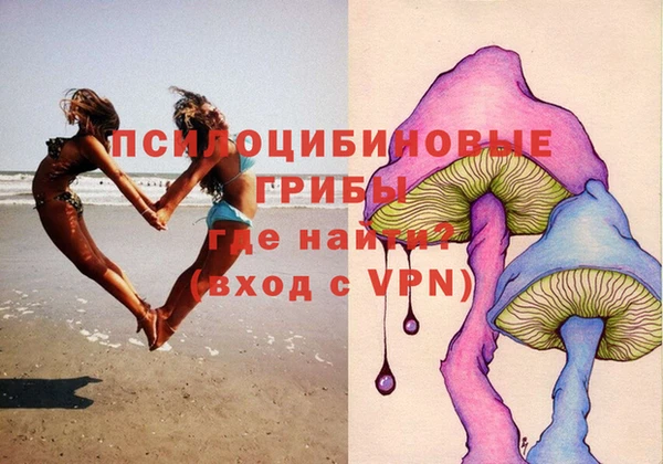 spice Козловка